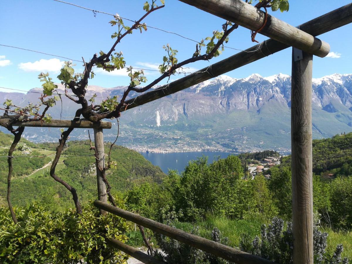 Agriturismo La Zangola Tremosine Eksteriør bilde
